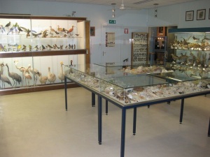 visserijmuseum 11