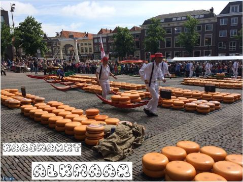 Alkmaar kaasmarkt weblog 23